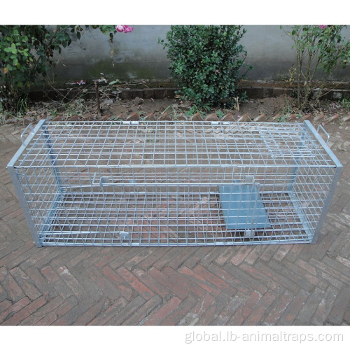 Large Animal Trap Cage humane live animal trap cage animal trap cage Supplier